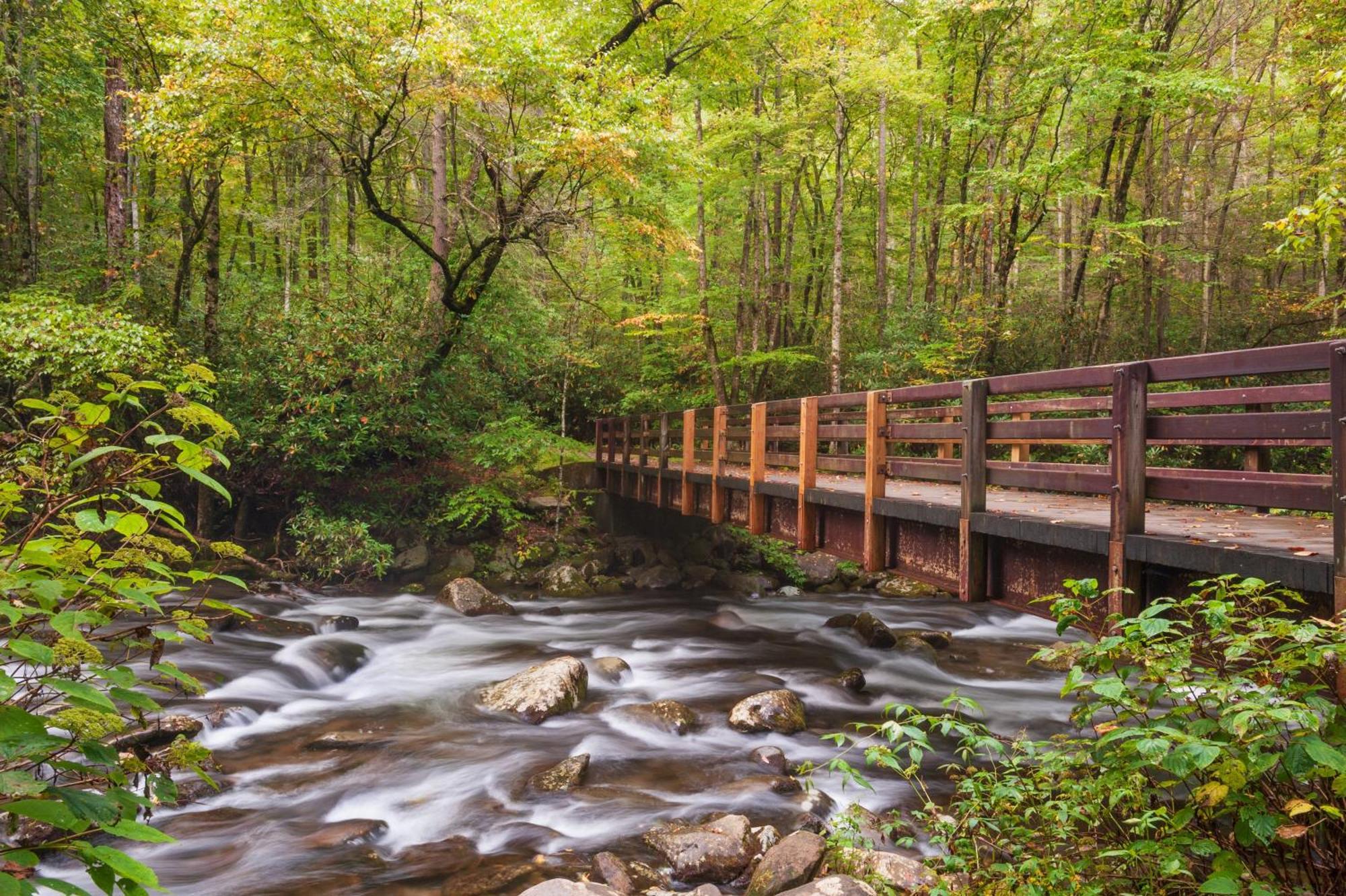 Lazy Bear Lodge, Hot Tub, Resort Pool, Wifi, 1089 Free Tickets Each Paid Day, Dollywood And More Gatlinburg Extérieur photo
